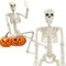 Halloween Skeleton Decorations, 36in/3ft Plastic Full Body with Movable Joints Skeleton for Halloween Party Prop Graveyard Haunted House Decorations
